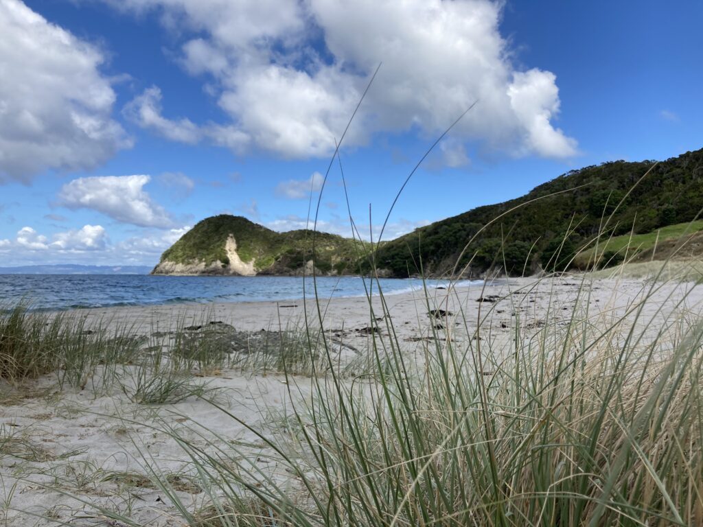 Smugglers Cove Beach