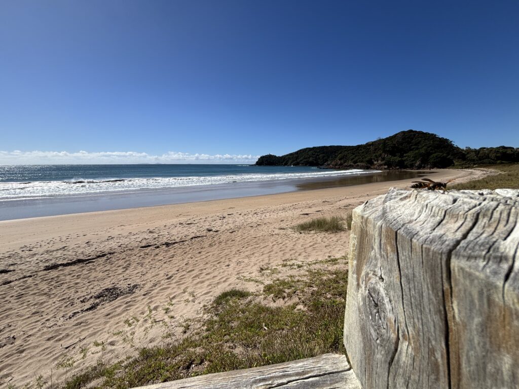 Frogtown Beach near Pataua South
